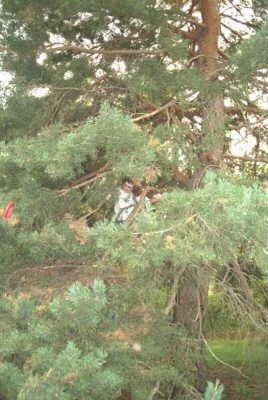 retrieving an errent frisbee